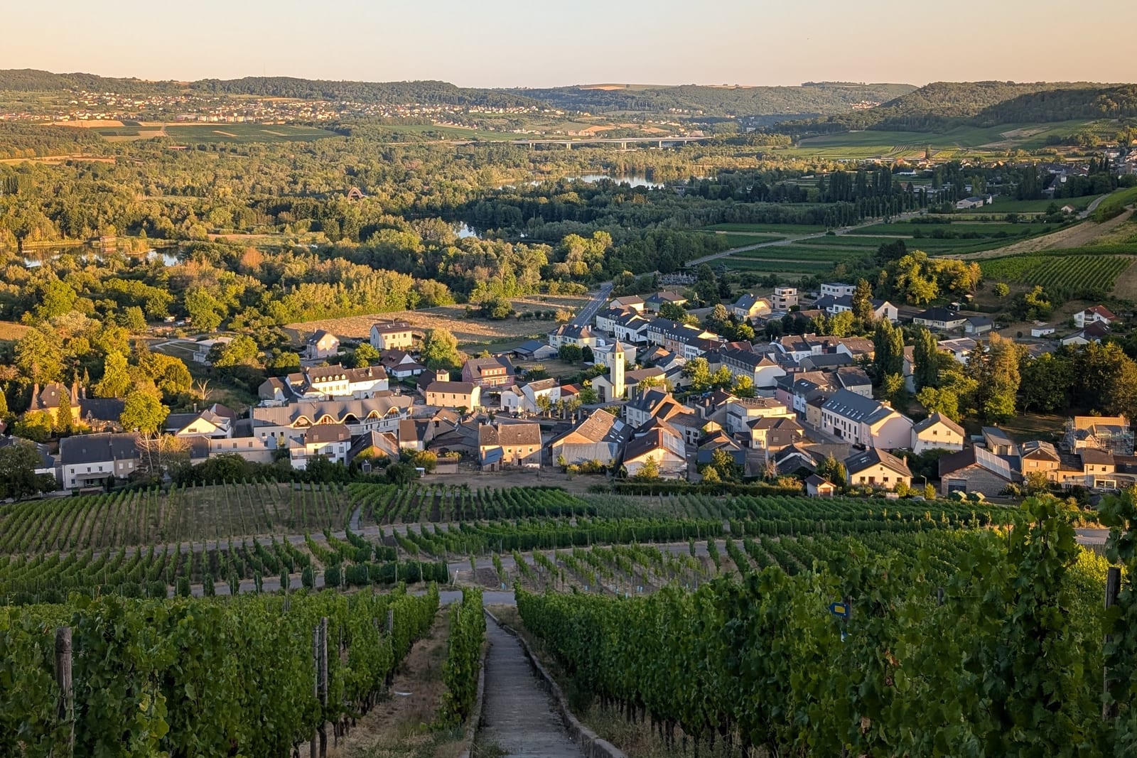 Abendblick aus den Weinbergen auf ein kleines Moseldorf und das grüne Tal