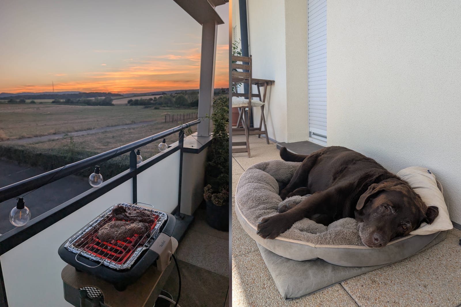 Zweiteilige Collage mit Steaks auf dem Grill vor dem Abendhimmel und Labrador Lexi entspannt in ihrem Hundebett
